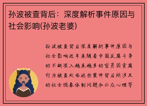 孙波被查背后:深度解析事件原因与社会影响(孙波老婆)