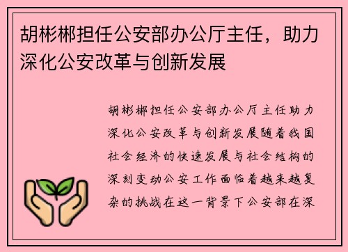 胡彬郴担任公安部办公厅主任,助力深化公安改革与创新发展