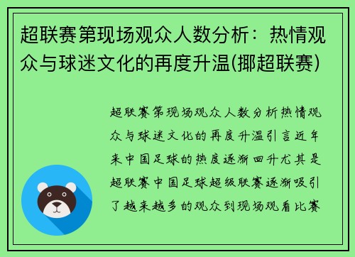 超联赛第现场观众人数分析:热情观众与球迷文化的再度升温(揶超联赛)