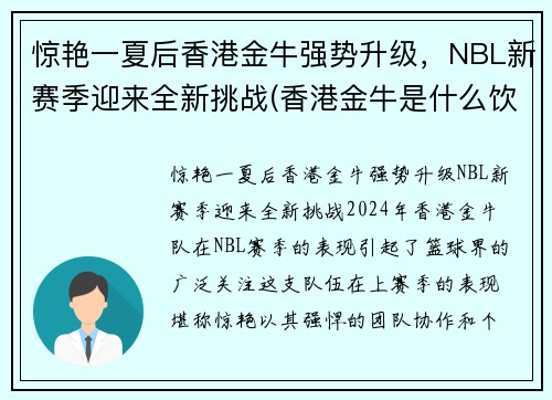 惊艳一夏后香港金牛强势升级,NBL新赛季迎来全新挑战(香港金牛是什么饮料)
